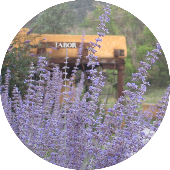 A foggy hillside with Cross in Pecos, New Mexico