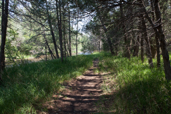 1035-GAPhotoGalleryPlace45-Medium