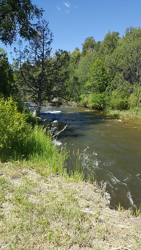 Pecos_River-by_PecosMonastery Pecos River in the summer season