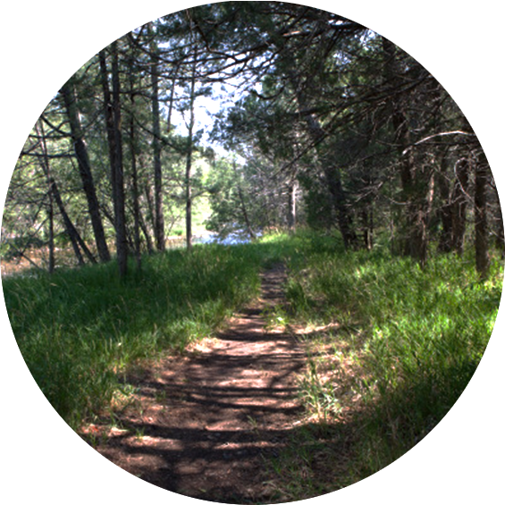 A foggy hillside with Cross in Pecos, New Mexico